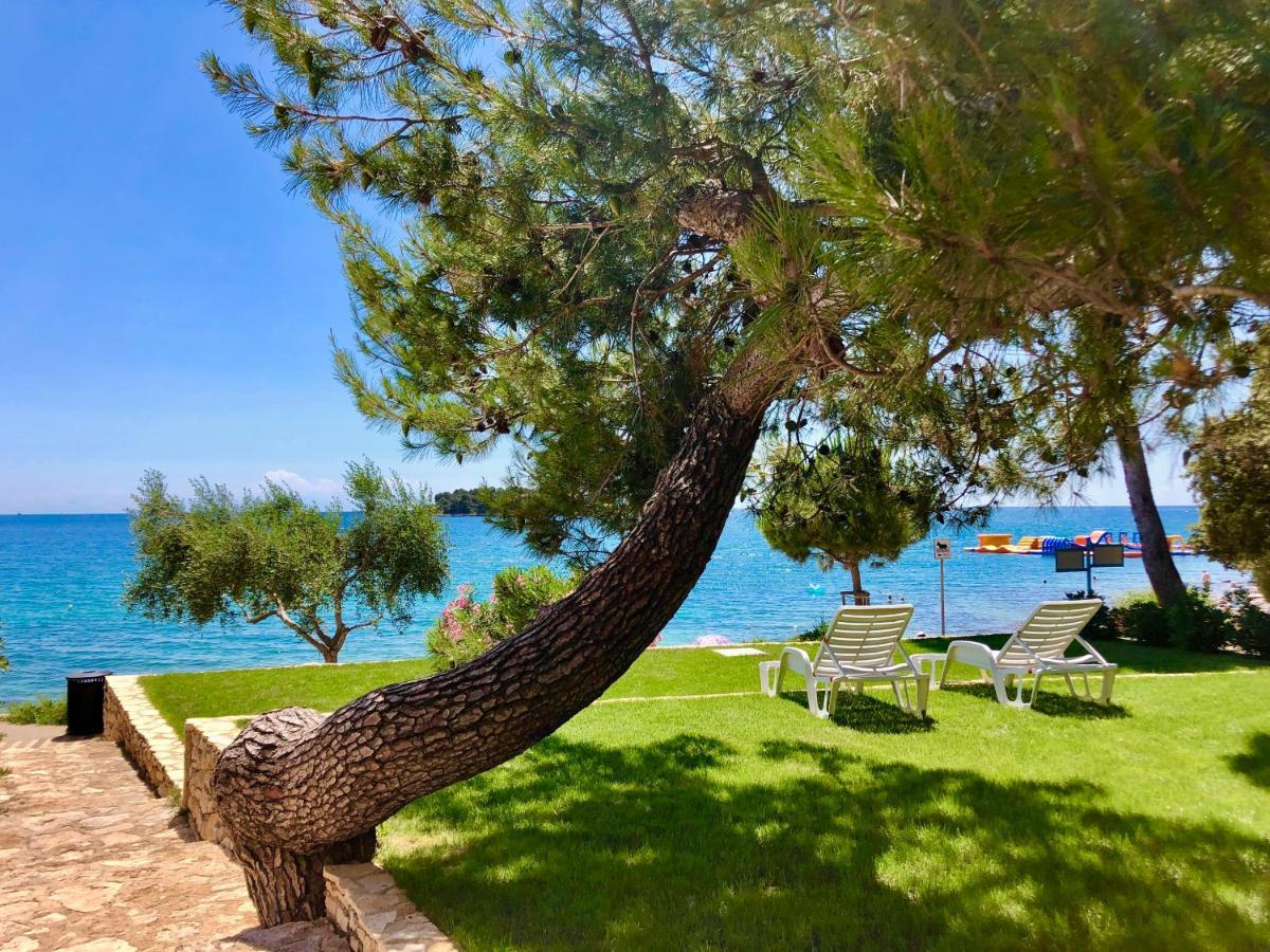Al Mare Apartments Rovinj Extérieur photo